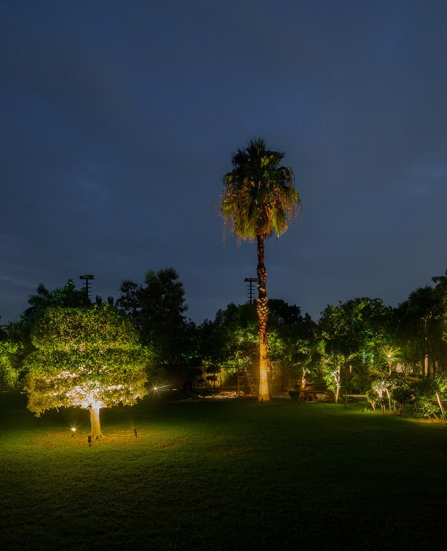 Private Residence Singhania 06